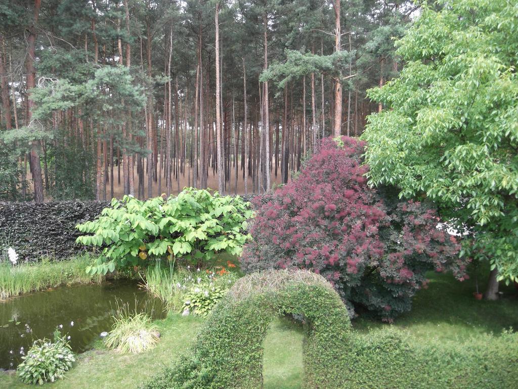 Amselgarten Lübben Kültér fotó