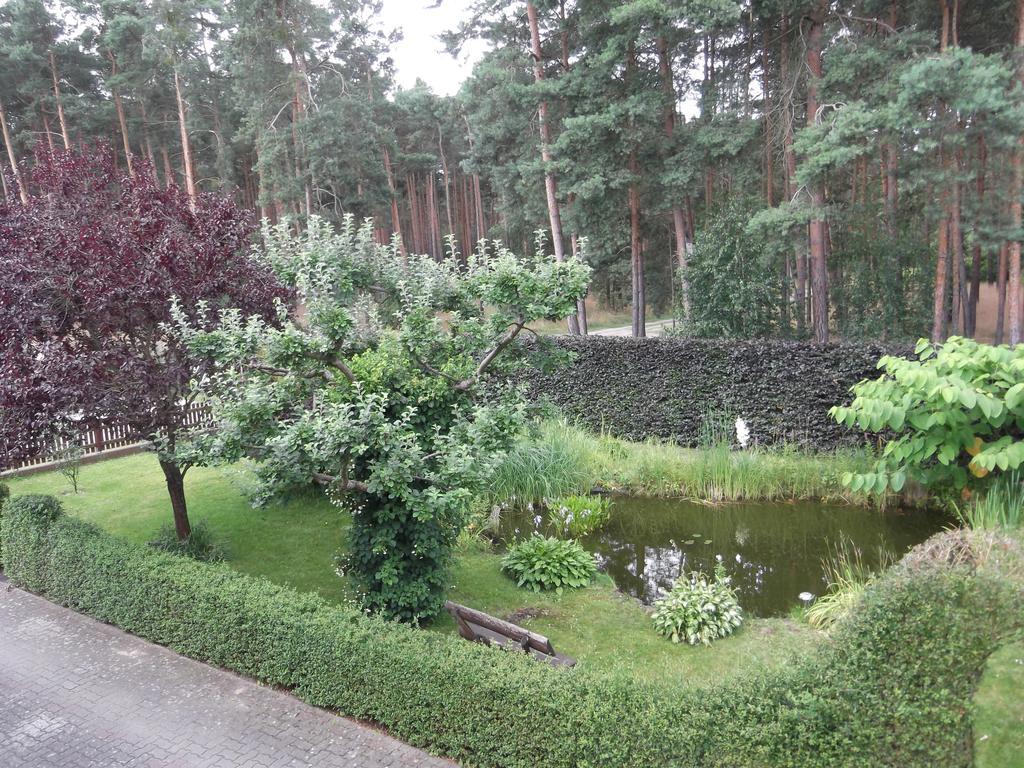 Amselgarten Lübben Kültér fotó