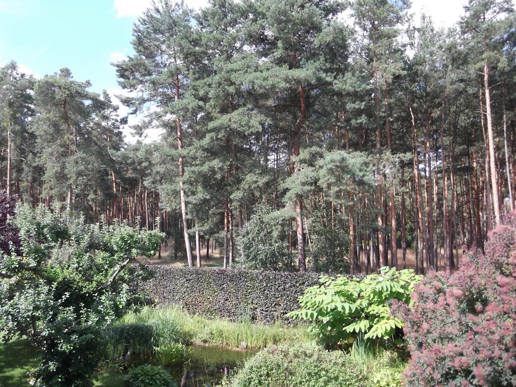 Amselgarten Lübben Kültér fotó