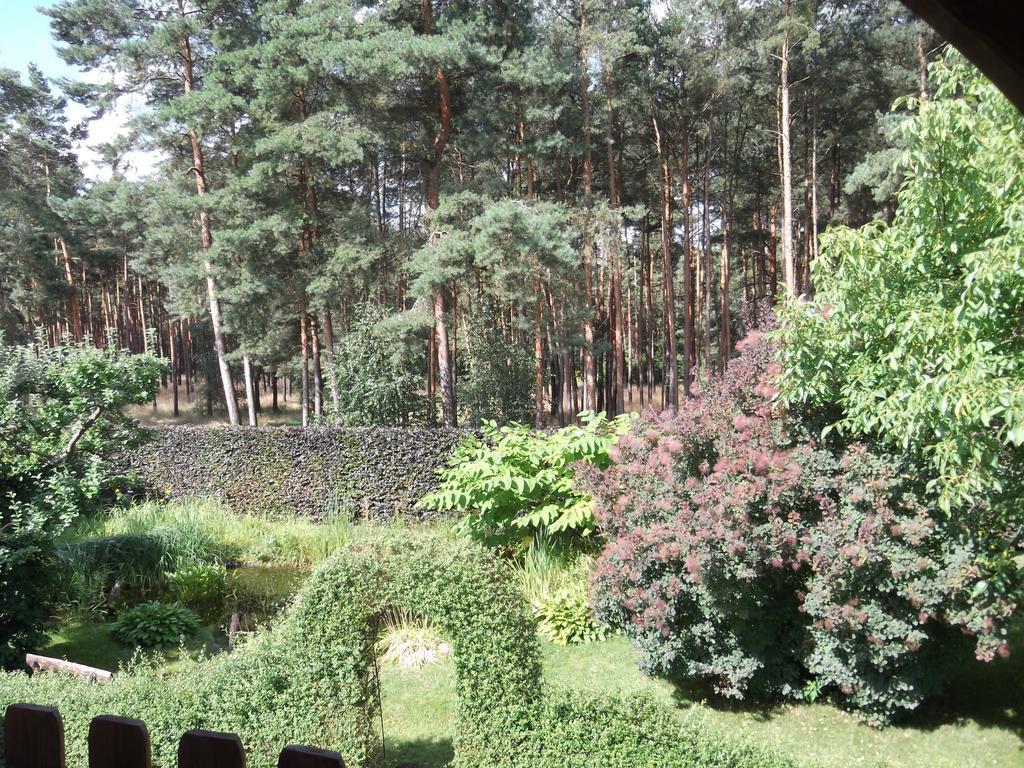 Amselgarten Lübben Kültér fotó