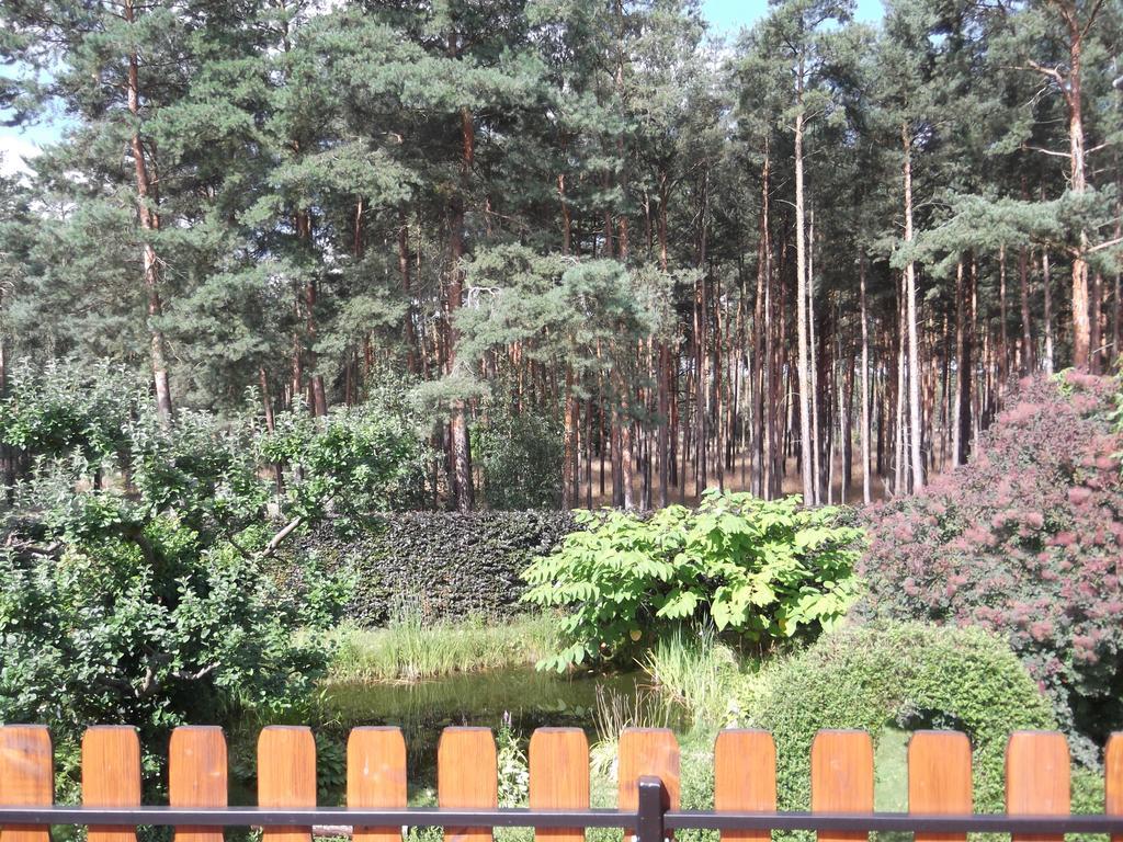 Amselgarten Lübben Kültér fotó