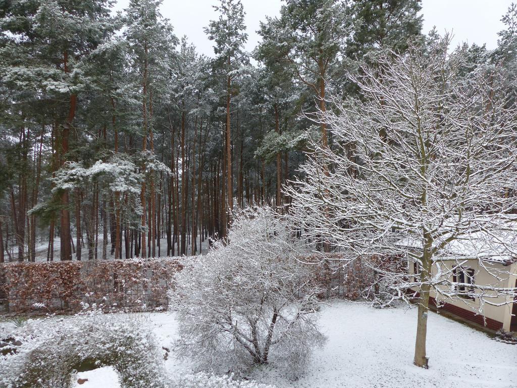 Amselgarten Lübben Kültér fotó