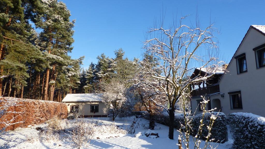 Amselgarten Lübben Kültér fotó