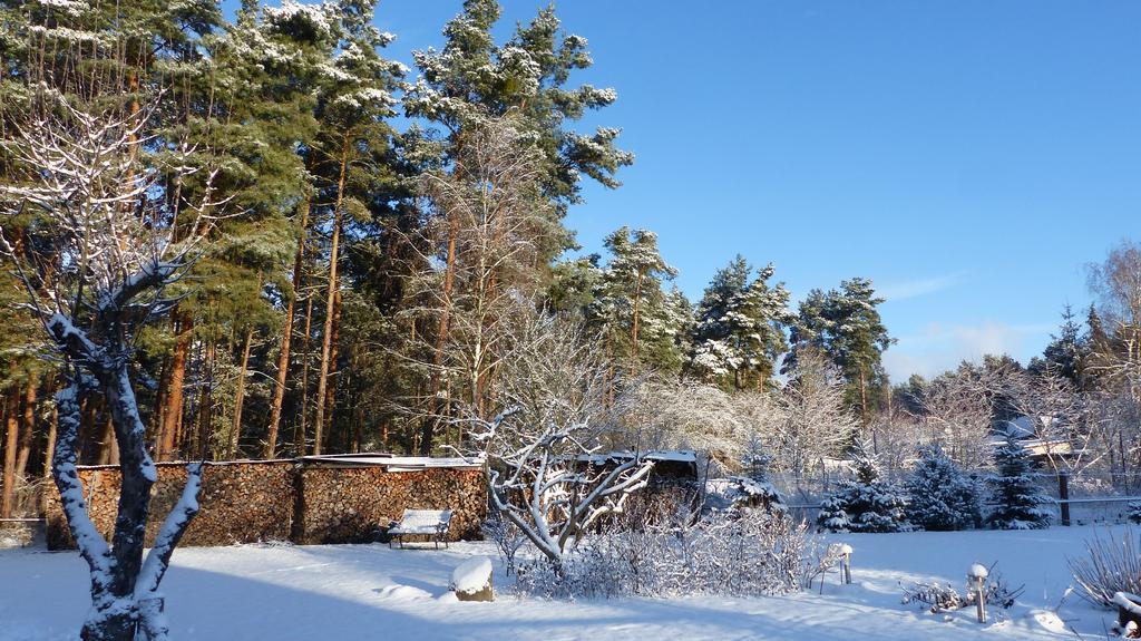 Amselgarten Lübben Kültér fotó